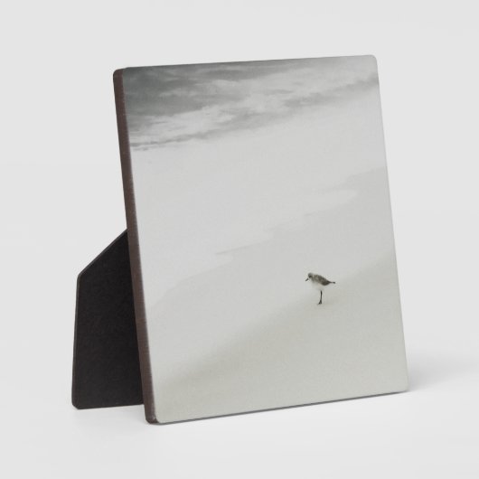 Kustzandloper op het strand fotoplaat (Voorkant)