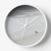 Kustzandloper op het strand