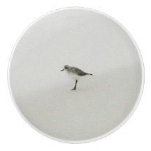 Kustzandloper op het strand