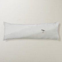 Kustzandloper op het strand