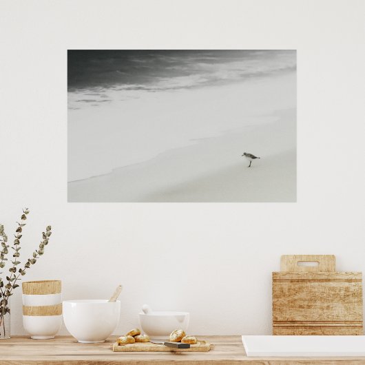 Kustzandloper op het strand poster (Keuken)