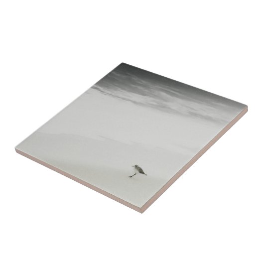 Kustzandloper op het strand tegeltje (Zijkant)