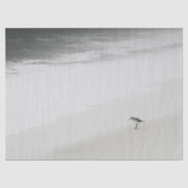 Kustzandloper op het strand tissuepapier