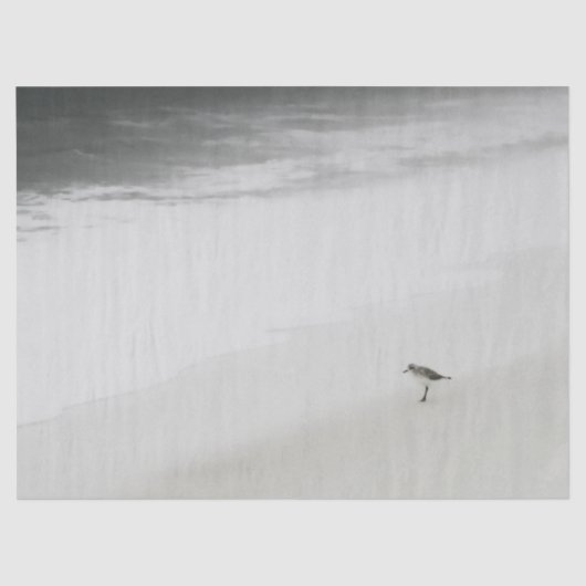 Kustzandloper op het strand tissuepapier (Voorkant)