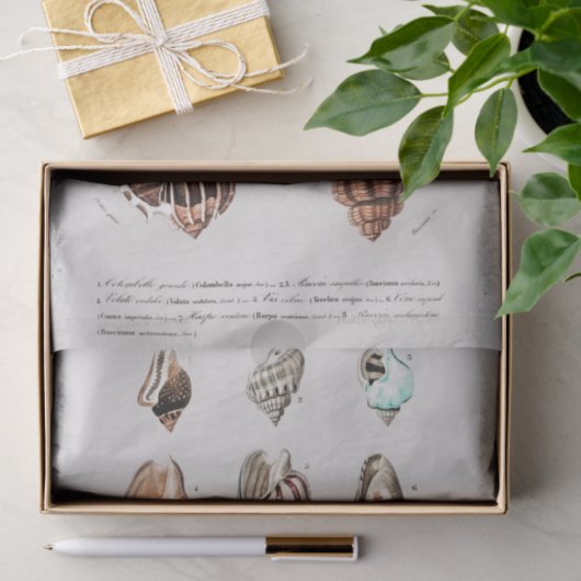 kustzeeschelp waterverf Tissue Paper Tissuepapier (Geschenk)