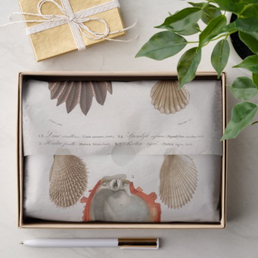 kustzeeschelp-waterverf tissuepapier (Geschenk)