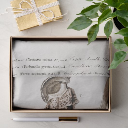 kustzeeschelp-waterverf tissuepapier (Geschenk)