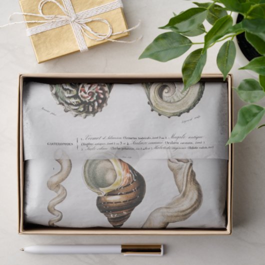 kustzeeschelp-waterverven tissuepapier (Geschenk)