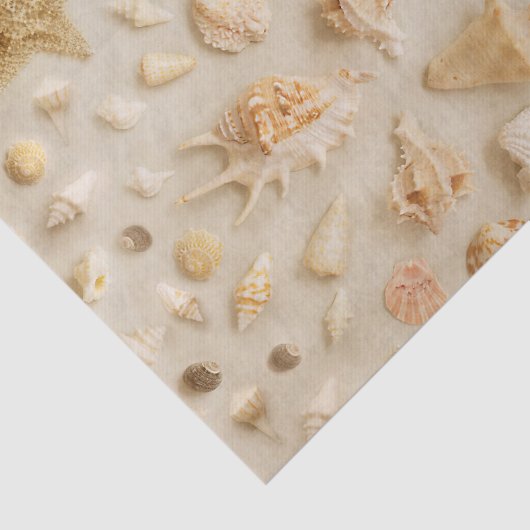 Kustzeesterren en zeeschelpen Beach Foto Tissuepapier (Detail)