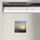 Kustzonnemagneet Magneet (Insitu (Vaatwasser))