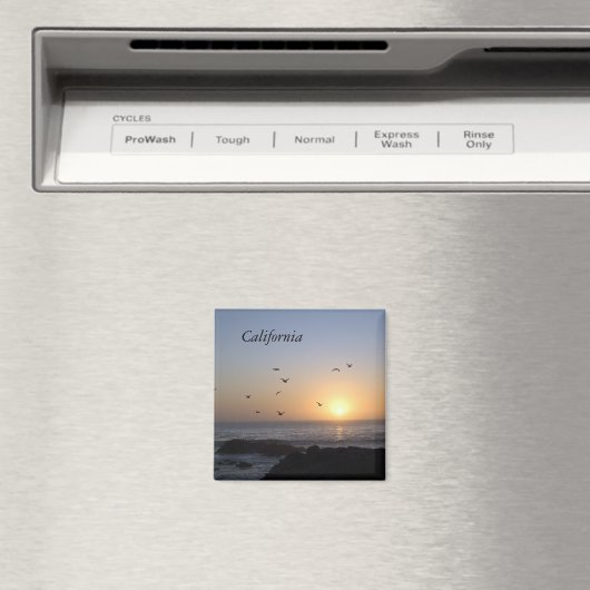 Kustzonnemagneet Magneet (Insitu (Vaatwasser))