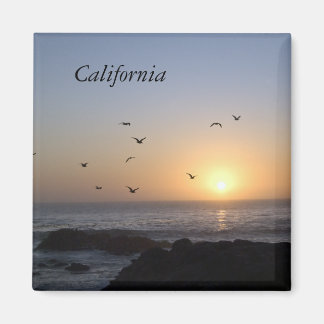 Kustzonnemagneet Magneet