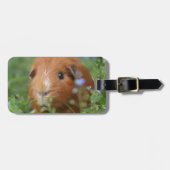 Kut gemberguinee, buiten op gras bagagelabel (Voorkant horizontaal)