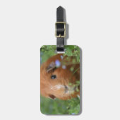 Kut gemberguinee, buiten op gras bagagelabel (Voorkant verticaal)