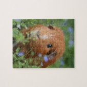 Kut gemberguinee, buiten op gras legpuzzel (Horizontaal)