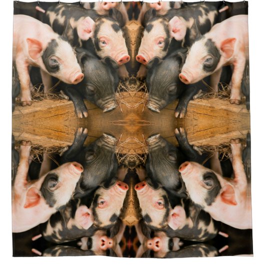 Kutbiggen Douchegordijn (Voorkant)