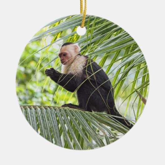 Kute aap op een palmboom keramisch ornament (Voorkant)