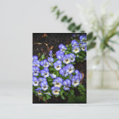 Kute als Button Briefkaart (Staand voorkant)