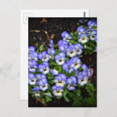 Kute als Button Briefkaart (Voorkant / Achterkant)