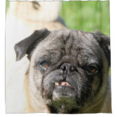 Kute als een pug douchegordijn (Voorkant)