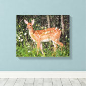 Kute Baby Animals Fawn Deer Canvas Print (Insitu (Houten vloer))