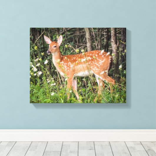 Kute Baby Animals Fawn Deer Canvas Print (Insitu (Houten vloer))