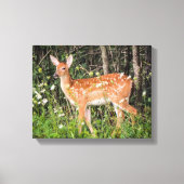 Kute Baby Animals Fawn Deer Canvas Print (Voorkant)