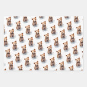 Kute Baby Animals Inpakpapier Vel (Voorkant 3)