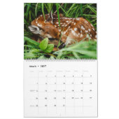 Kute Baby Animals Kalender (Mar 2027)