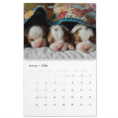 Kute Baby Animals Kalender (Jan 2026)