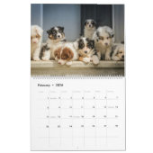 Kute Baby Animals Kalender (Feb 2026)