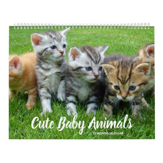 Kute Baby Animals Kalender (Hoes)
