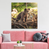 Kute Baby Beer in Bossen Canvas Afdruk (Insitu (Woonkamer))