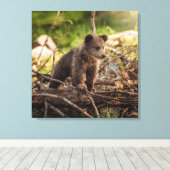Kute Baby Beer in Bossen Canvas Afdruk (Insitu (Houten vloer))