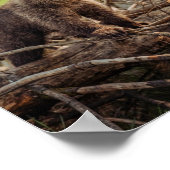 Kute Baby Beer in Bossen Poster (Hoek)