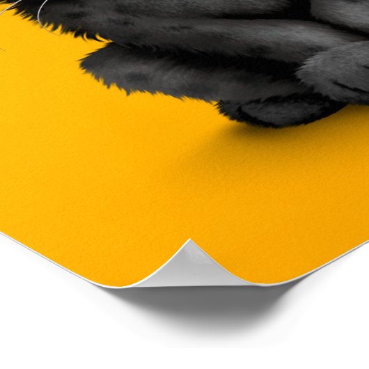 Kute Baby Black Panther Cub op geel Poster (Hoek)