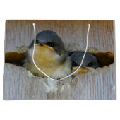 Kute Baby-boomzwaluw Zongvogels in Nestbox Large Cadeautasje (Voorkant)
