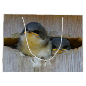 Kute Baby-boomzwaluw Zongvogels in Nestbox Large Cadeautasje (Achterkant)