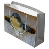 Kute Baby-boomzwaluw Zongvogels in Nestbox Large Cadeautasje (Achterkant Gekanteld)