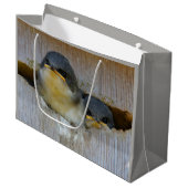 Kute Baby-boomzwaluw Zongvogels in Nestbox Large Cadeautasje (Voorkant Gekanteld)