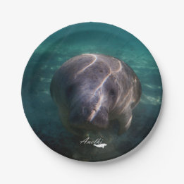 Kute baby manatepapier borden papieren bordje