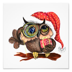Kute Baby Owl in kerstPet en cadeau Foto Afdruk