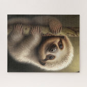 Kute Baby Sloth Smiling Wildlife Natuur Dier Legpuzzel (Horizontaal)