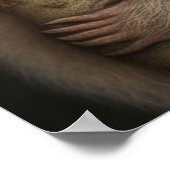 Kute Baby Sloth Smiling Wildlife Natuur Dier Poster (Hoek)