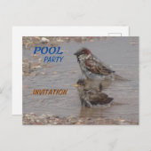 Kute bathing Sparrows Party Invitation Briefkaart (Voorkant / Achterkant)