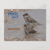 Kute bathing Sparrows Party Invitation Briefkaart (Voorkant)