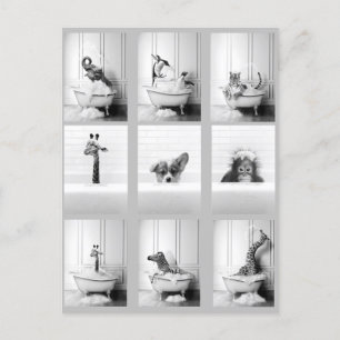 Kute bathroomdieren in Bathtub Briefkaart