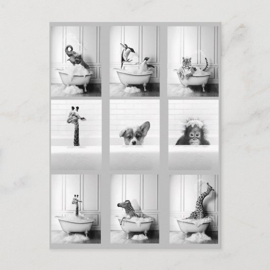 Kute bathroomdieren in Bathtub Briefkaart (Voorkant)