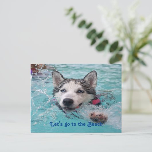 Kute Beach Dog greetings Briefkaart (Staand voorkant)