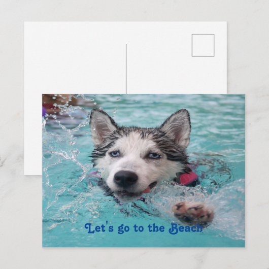 Kute Beach Dog greetings Briefkaart (Voorkant / Achterkant)